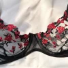 Two-Piece Lace Bra and Panty Set - Image 5