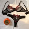 Two-Piece Lace Bra and Panty Set
